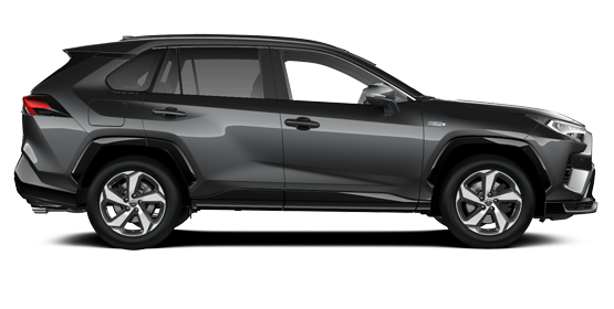 RAV4 Plug-in Business