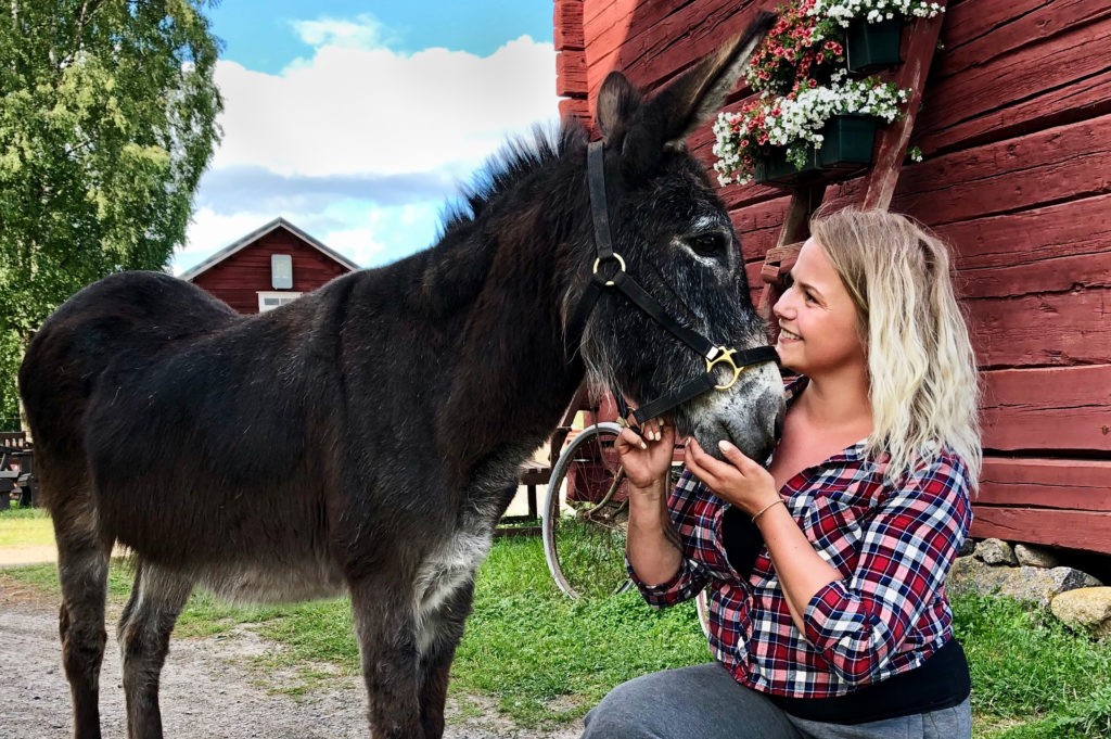 Eläinten vanhainkoti Wanha Markki Ylistarolla